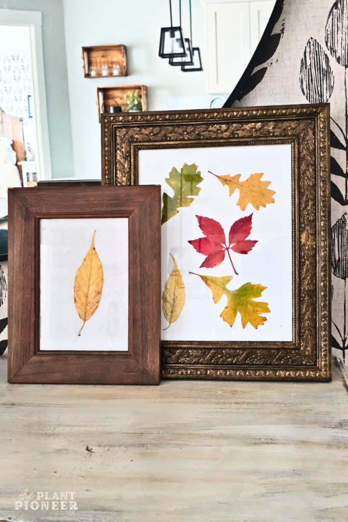 DIY Pressed Leaves Art for Fall