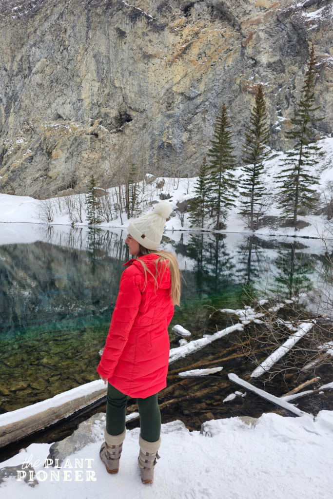 Beautiful Winter Hiking at Grassi Lakes, Canmore, Alberta (without the crowds!)