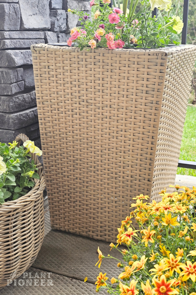 How to Paint Outdoor Resin Wicker Planters
